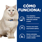 Hill’s Prescription Diet c/d Cuidado Urinario Stress Guisado de Atum lata para gatos, , large image number null